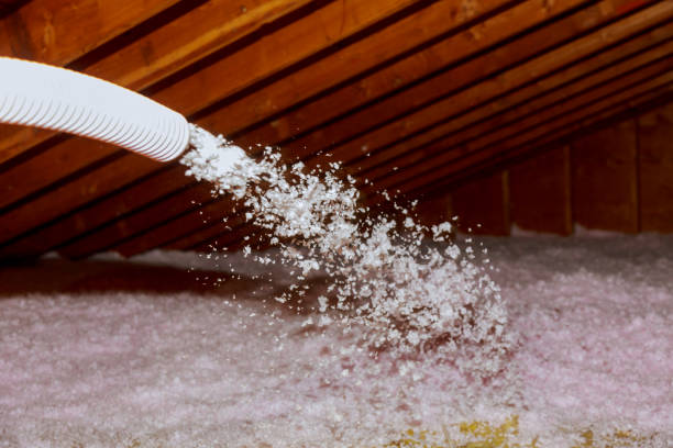 Best Insulation Maintenance and Repair in Haleiwa, HI