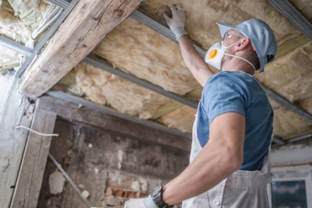 Best Types of Insulation in Haleiwa, HI