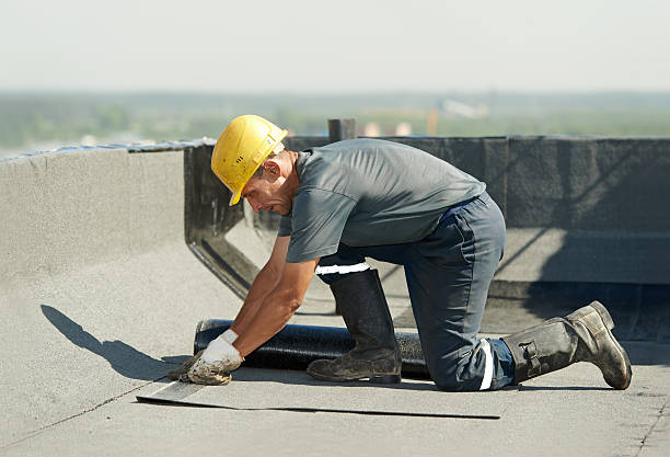 Best Insulation Installation Services in Haleiwa, HI