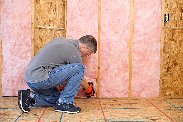 Best Insulation for Specific Applications in Haleiwa, HI