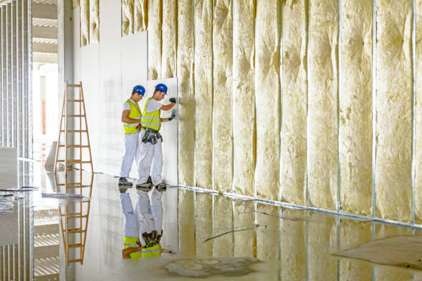 Types of Insulation We Offer in HI
